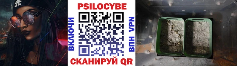 Галлюциногенные грибы Magic Shrooms  гидра ссылки  Ильский 